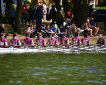 Roaring on the River Roaring on the River