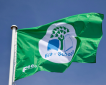 BGS Fly the Green Flag Again BGS Fly the Green Flag Again