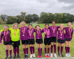 BGS Secure Bronze BGS Secure Bronze