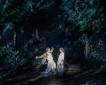 Into the Woods Into the Woods