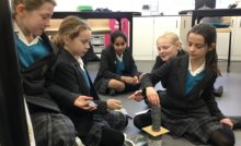 Investigating bone structure Investigating bone structure