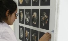 IB Visual Arts on Show IB Visual Arts on Show