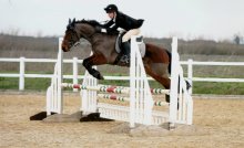 Equestrians qualify for County Champs Equestrians qualify for County Champs