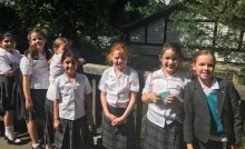 Investigating renewable energy Investigating renewable energy