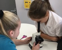 Forensic Scientists Forensic Scientists