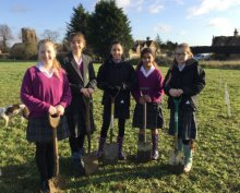 Tree planting for a greener future Tree planting for a greener future