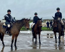 Showjumpers Riding High Showjumpers Riding High