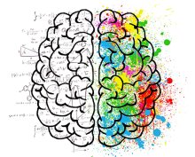 The Teenage Brain The Teenage Brain