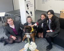 Meet Cooper the Therapy Dog! Meet Cooper the Therapy Dog!