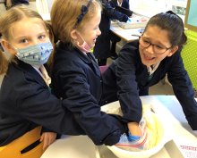 Investigating Adaptations Investigating Adaptations