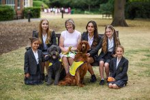 Meet Winnie the Irish Setter Meet Winnie the Irish Setter