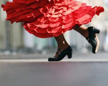 The Art of Flamenco The Art of Flamenco