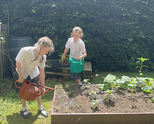 Garden Club Thrives!