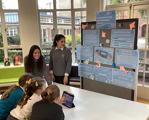 Group 4 Project Showcase