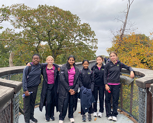 Discovering Kew’s Wonders Discovering Kew’s Wonders