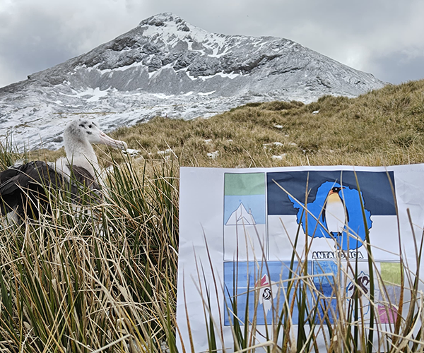 Antarctica Flag Project