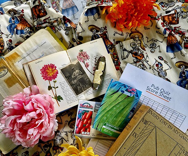 Alumnae Speaker Series