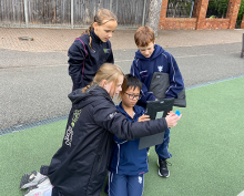 Collaboration in Action