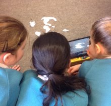 Year 5 Turn Movie Directors Year 5 Turn Movie Directors