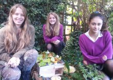 Eco Club Look For Hedgehogs Eco Club Look For Hedgehogs