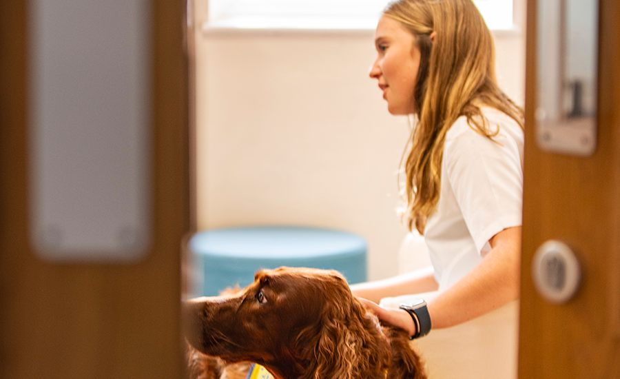 Pastoral Care at Bedford Girls' School
